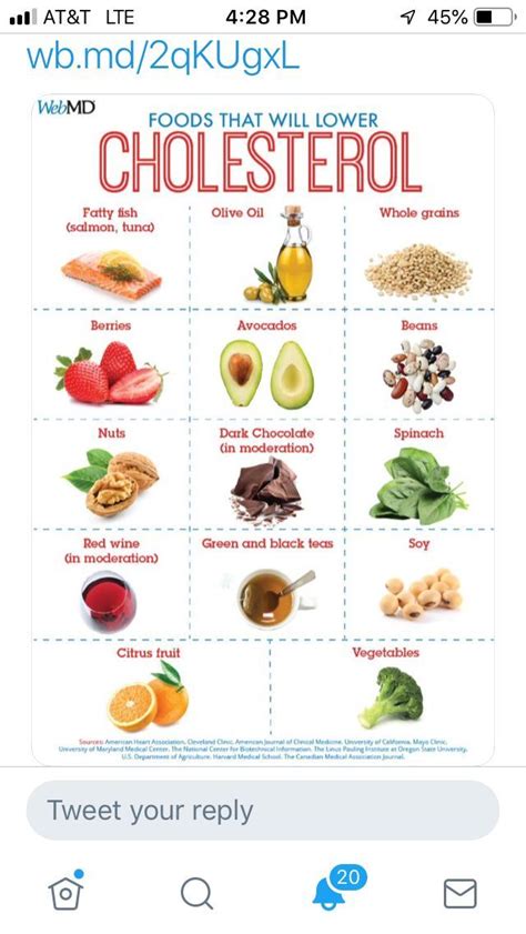 cholesterol is quizlet|cholesterol quiz printable.